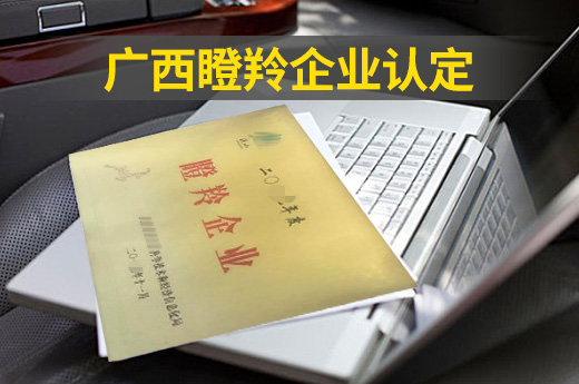 利好消息！2020廣西瞪羚企業認定申報工作開始了！|咕咕狗知識產權