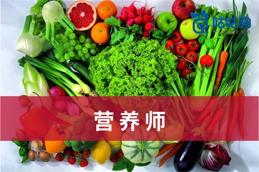 咕咕狗|2021年公共營養師的報考條件和時間安排
