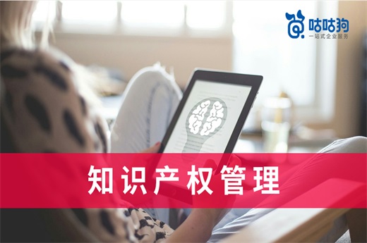 咕咕狗|千字深度好文：企業(yè)如何建立與完善知識(shí)產(chǎn)權(quán)管理制度