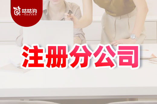 異地經(jīng)營建議注冊分公司，不會操作看這里