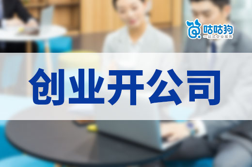 創(chuàng)業(yè)開(kāi)公司，哪種主體類(lèi)型比較適合新手？