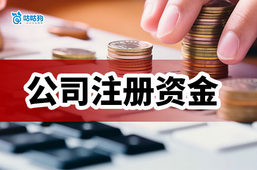 小型公司注冊資金寫多少合適?看完再也不迷茫!