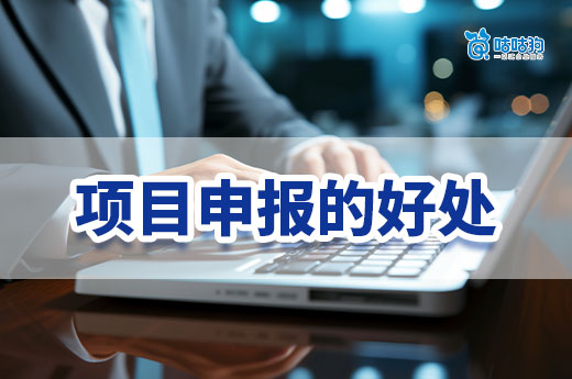 淺談公司進行政府項目申報的好處，老板們一起來了解吧！-咕咕狗